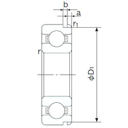 المحامل 6009N NACHI