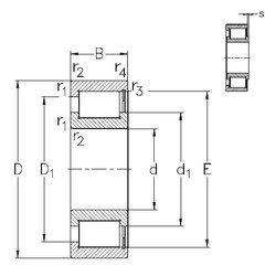 المحامل NCF1864-V NKE