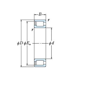 Bearing NNCF4936V