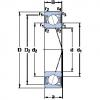 المحامل S7024 ACD/P4A SKF #1 small image