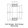 Bearing SL01-4920