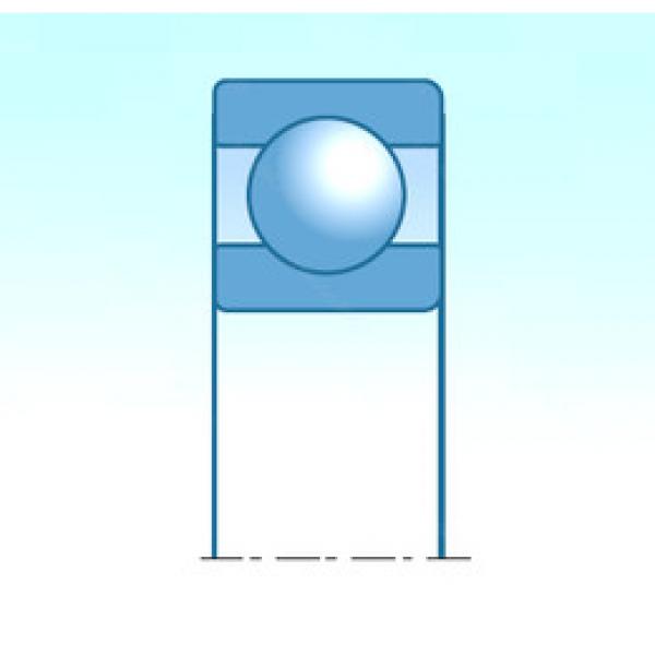 المحامل 60/1250 NTN #1 image