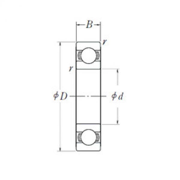 المحامل 6003L11-H-20 NSK #1 image