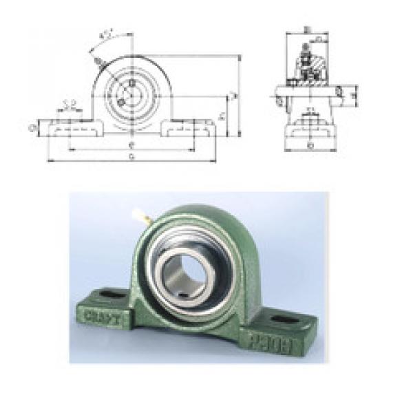 المحامل UCP309 CRAFT #1 image